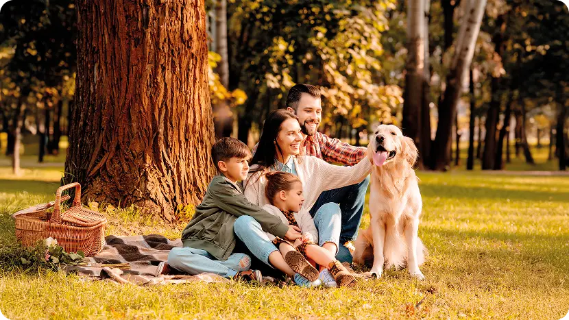 Familie met hond in het park