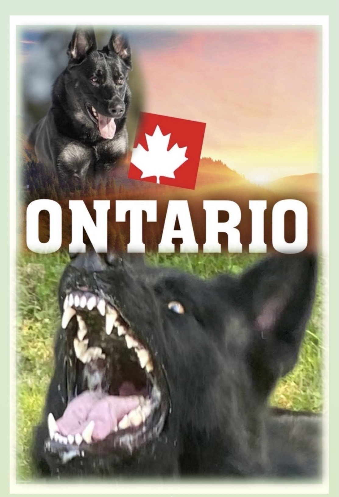 Over Ontario